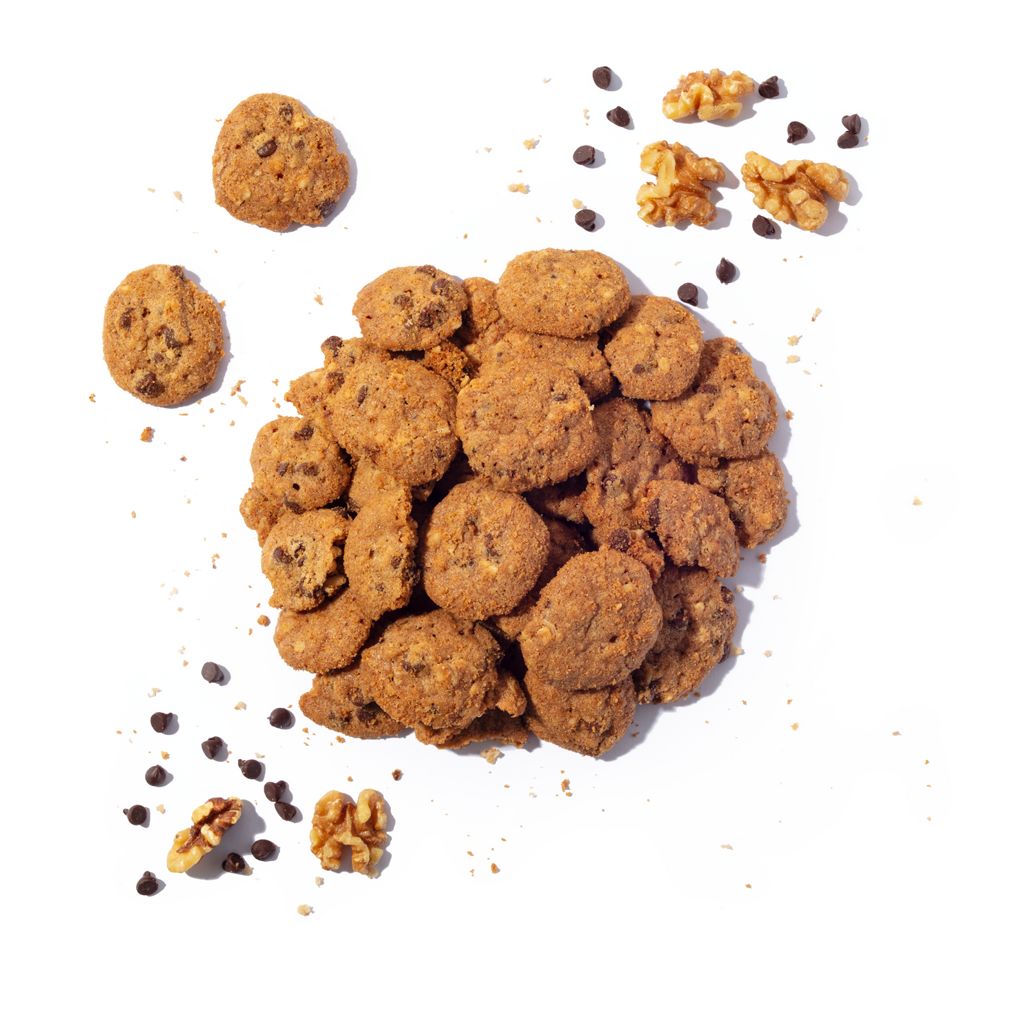 Walnut Chocolate Chip
