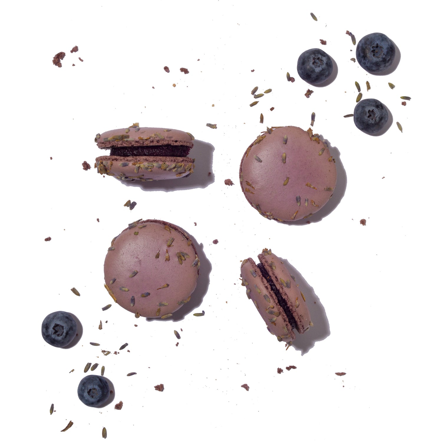 Blueberry Lavender Macaron