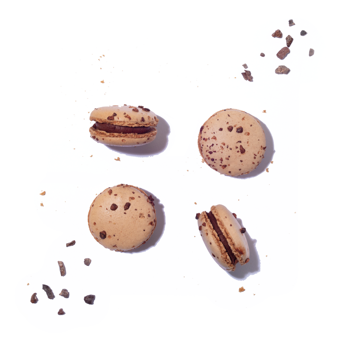 Chocolate Macaron
