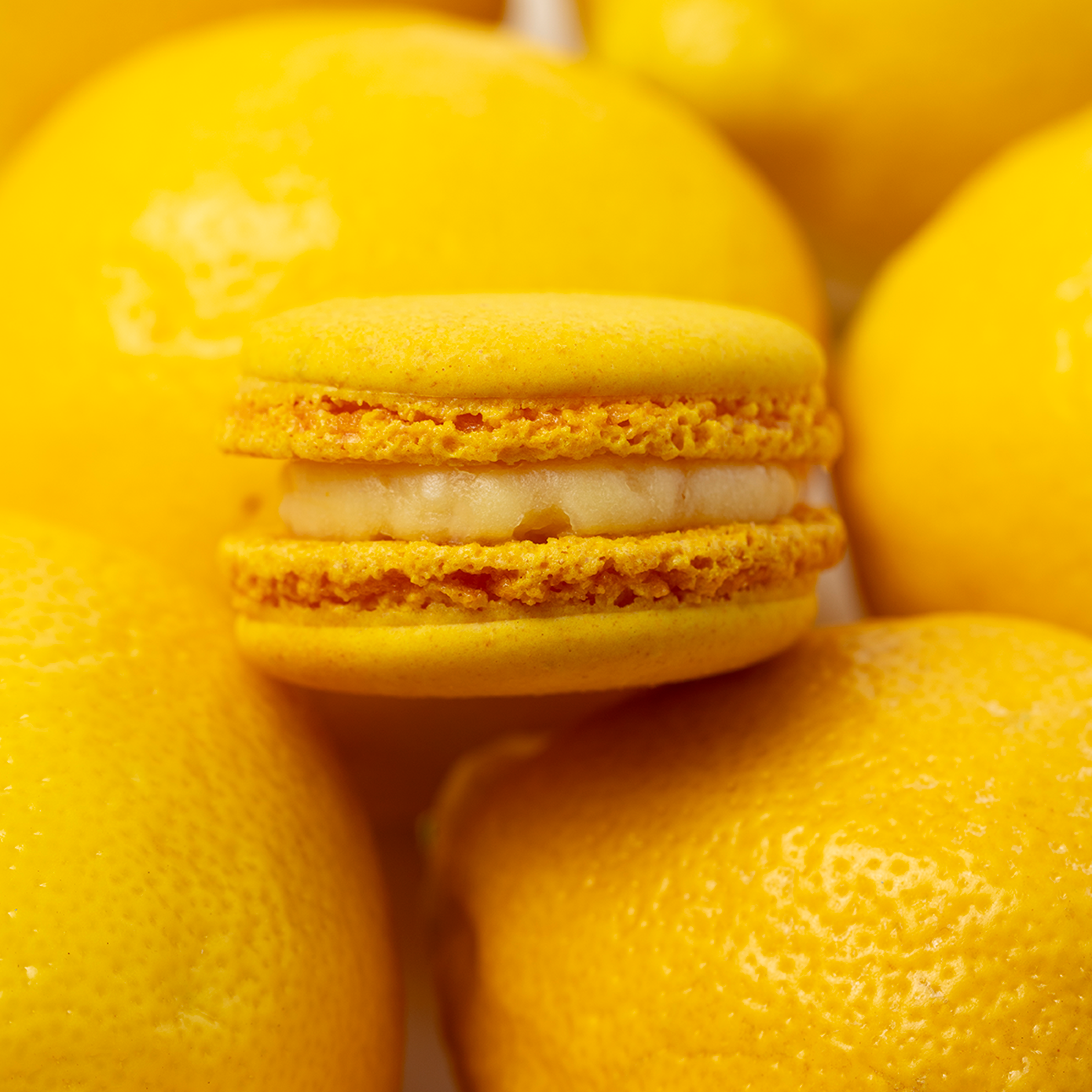 Lemon Macaron