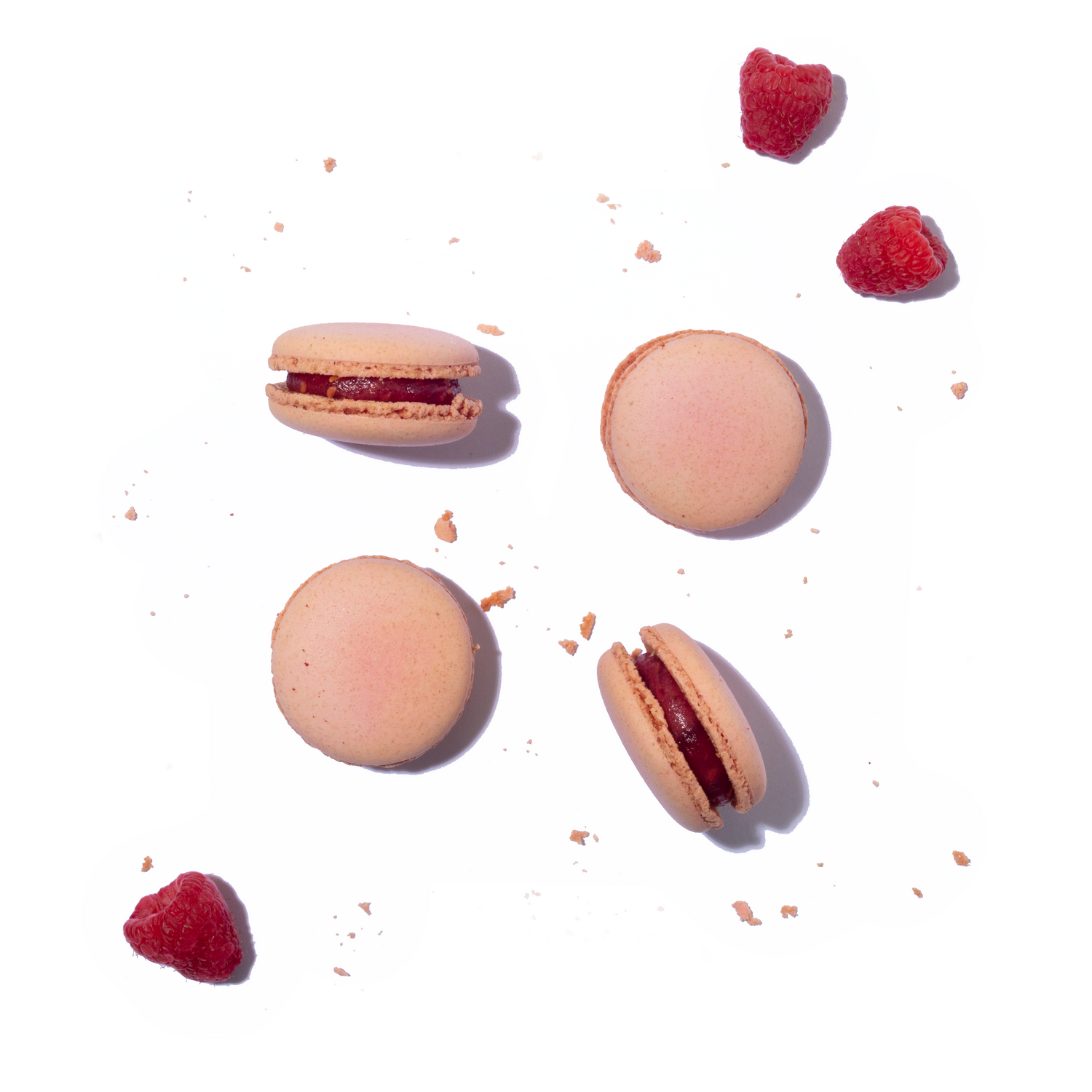 Raspberry Macaron